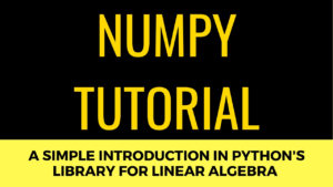 Numpy Tutorial